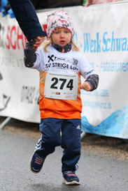 Banner-Foto SV STRIGL Lunz