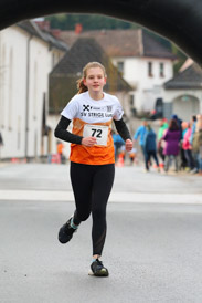 Banner-Foto SV STRIGL Lunz